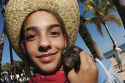 2003 Pet Masquerade photo - Duval Street, Key West